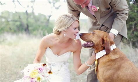 dog knots blonde|Taking The Knot .